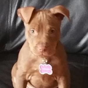 Meet your Posher, Corey